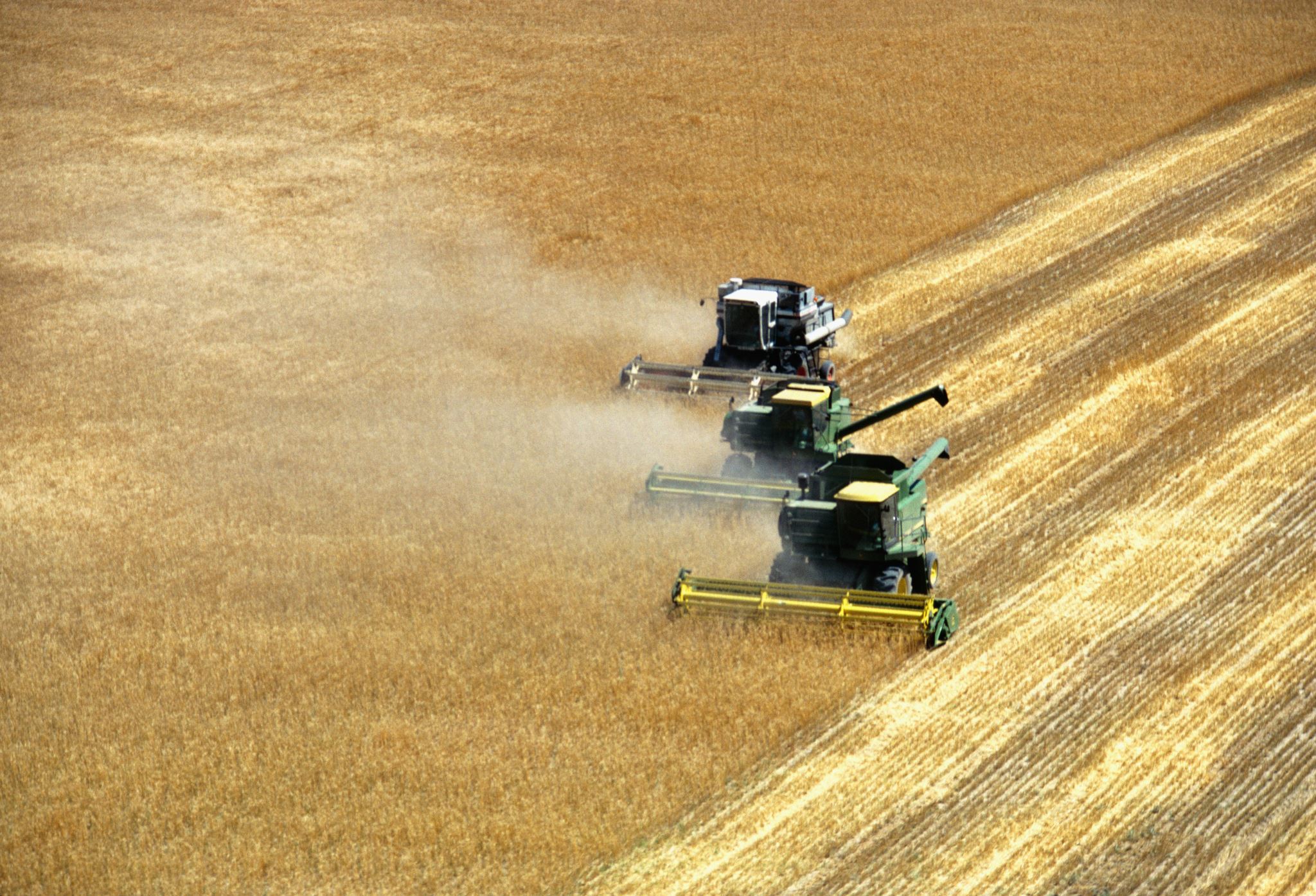 Three-combines-harvesting-wheat
